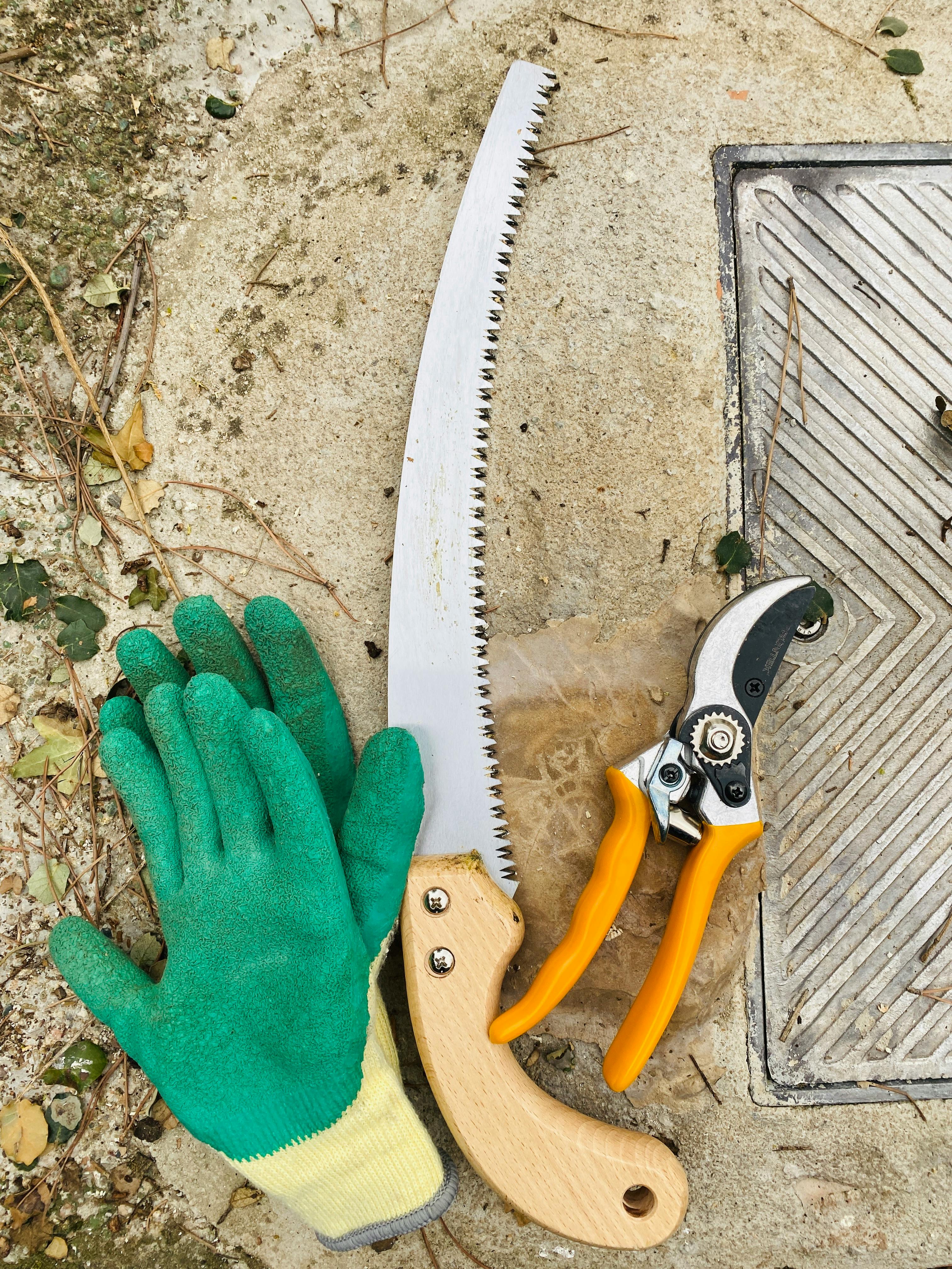 pruning saw and bypass loppers